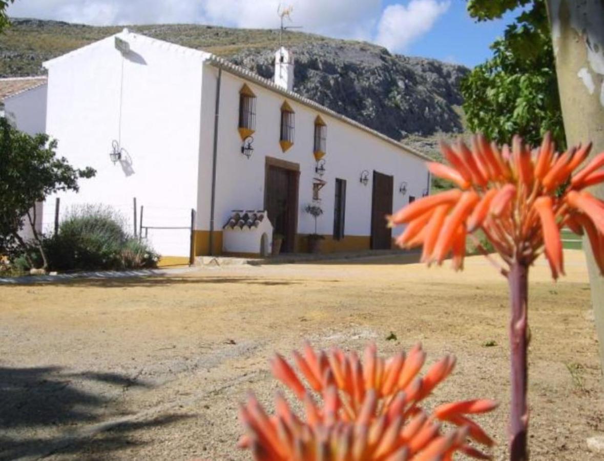 Вілла Complejo Cortijo Rural El Puntal Teba Екстер'єр фото